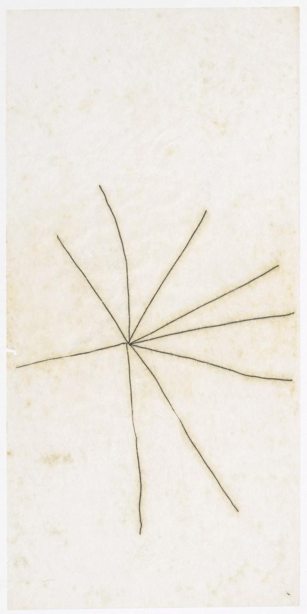 Image for exhibition 
