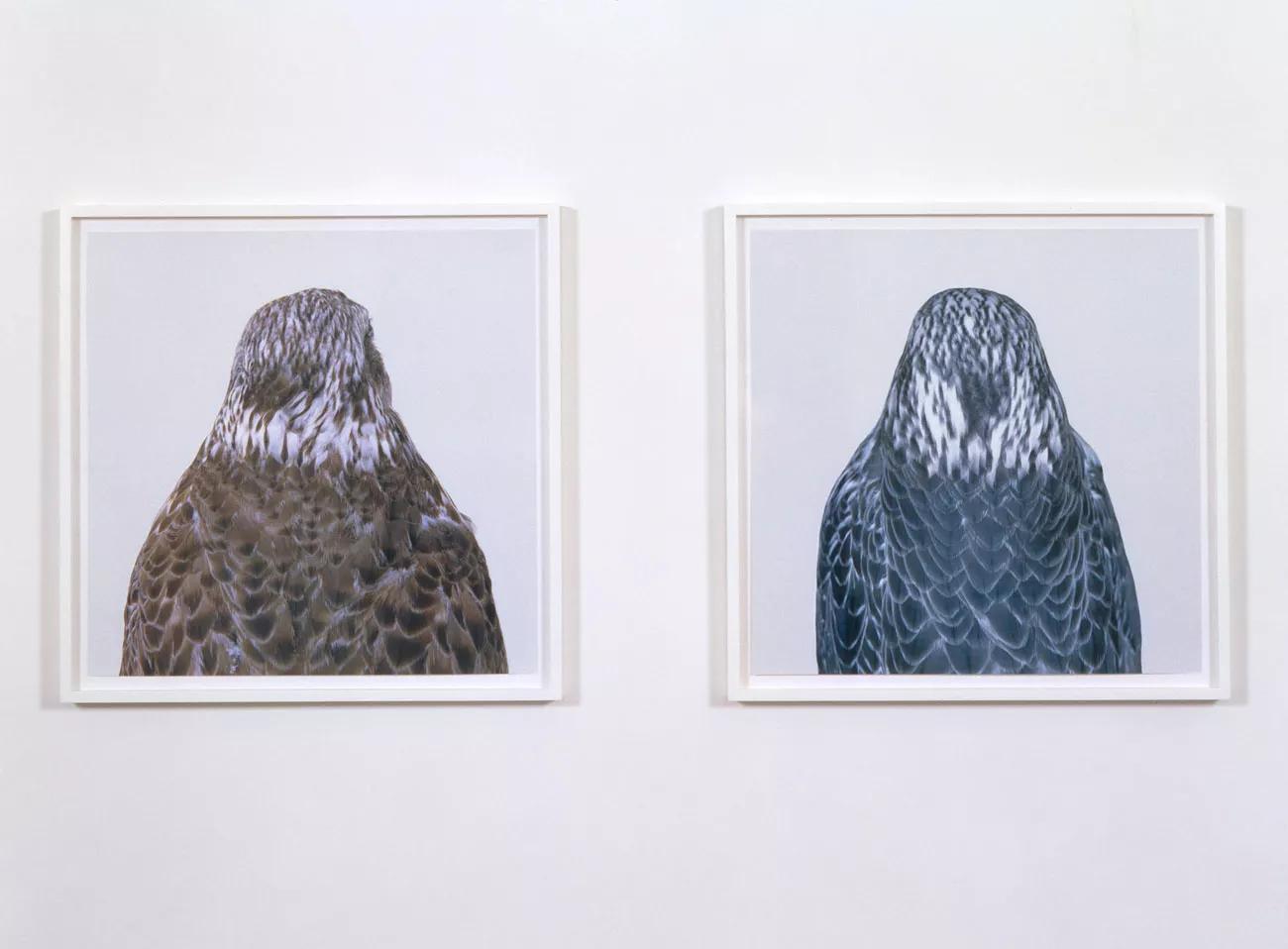 Image for exhibition 