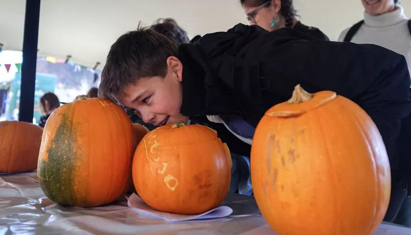 Hero image for event titled Pumpkin Seed Giveaway