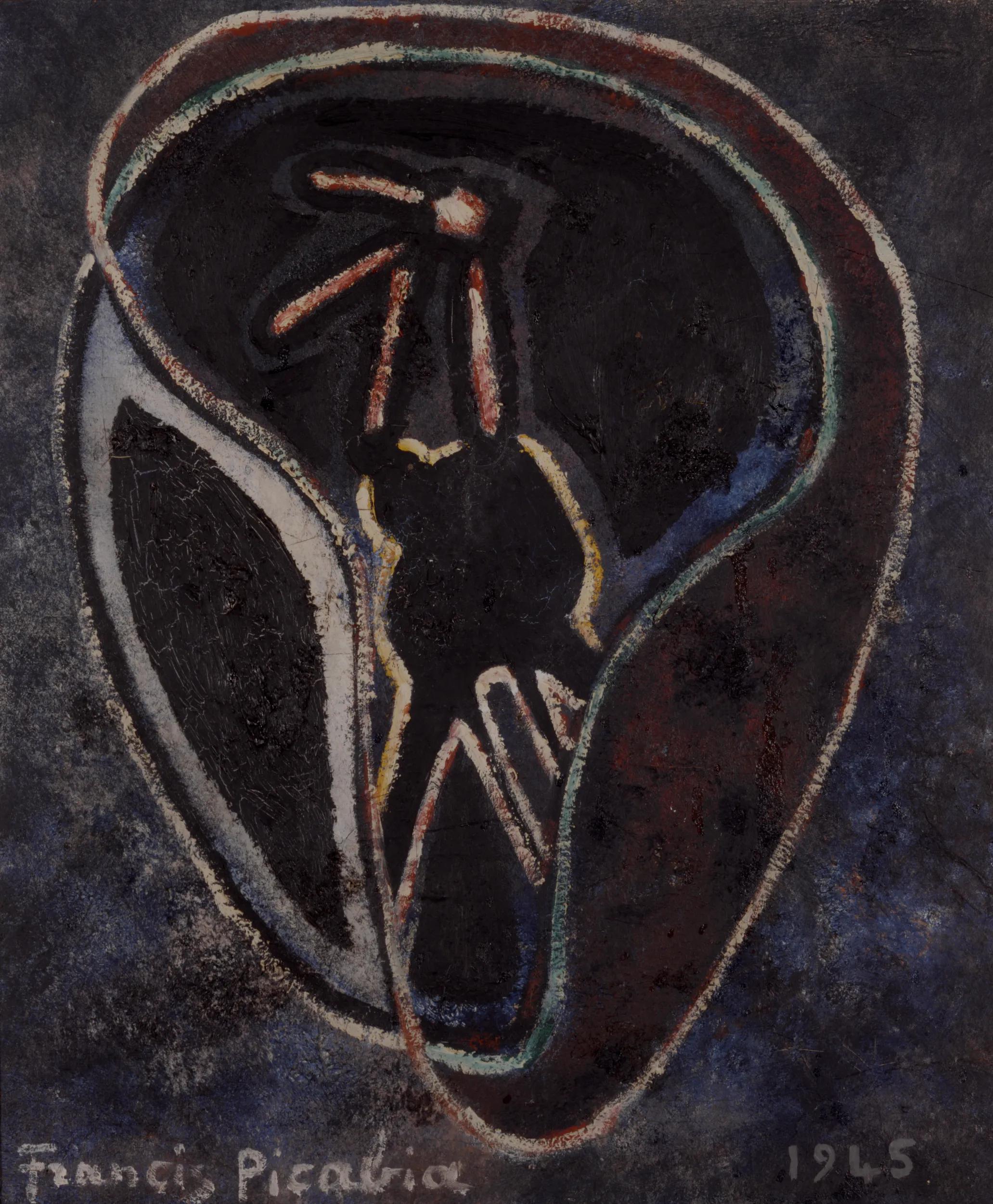 Image for exhibition titled Francis Picabia