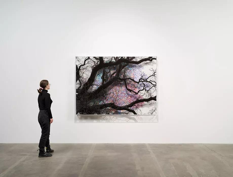 Thumbnail image for exhibition titled Numbers and Trees: London Series 2, Tree #5, Falcon Highwalk