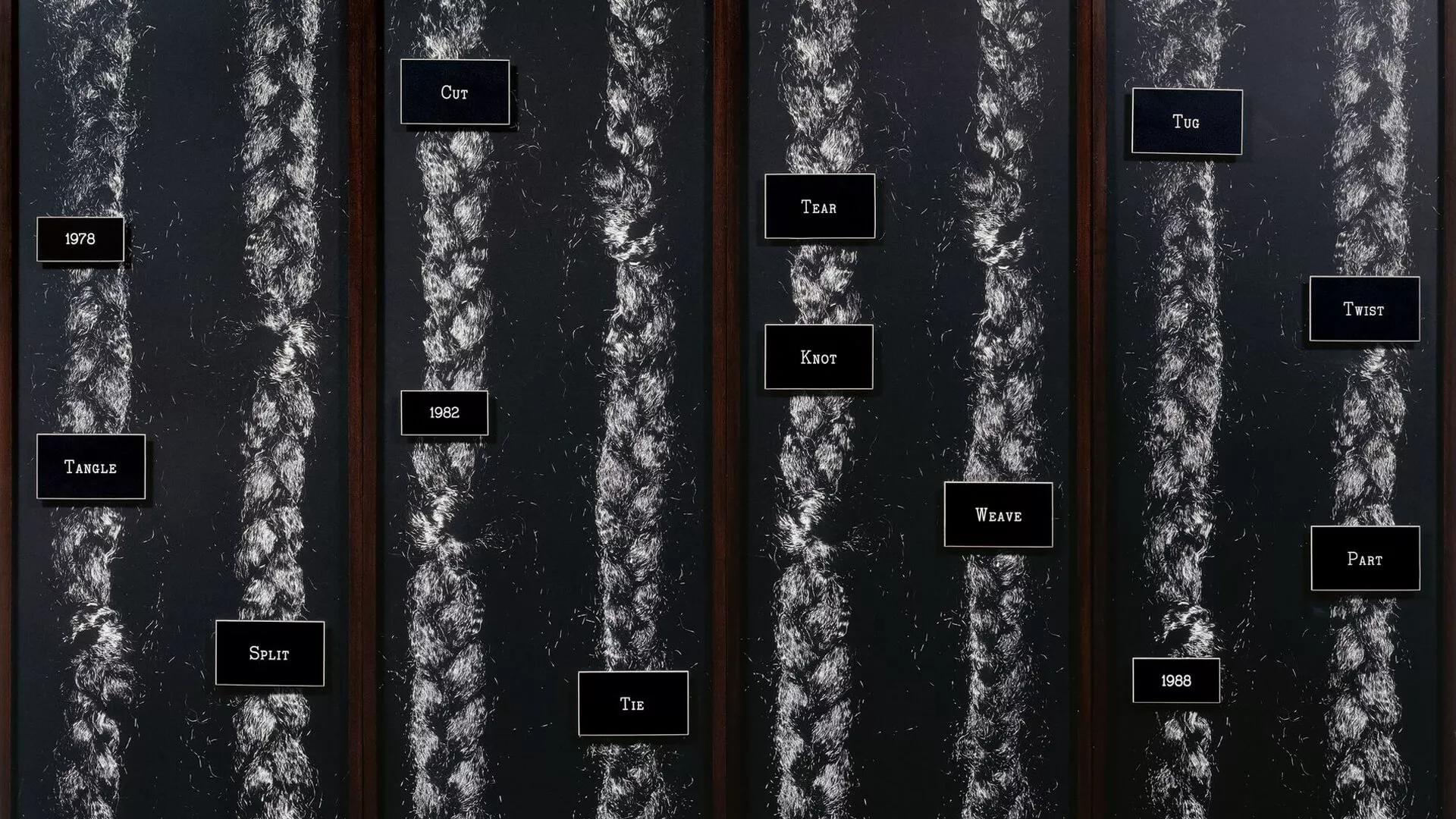 Image for exhibition 