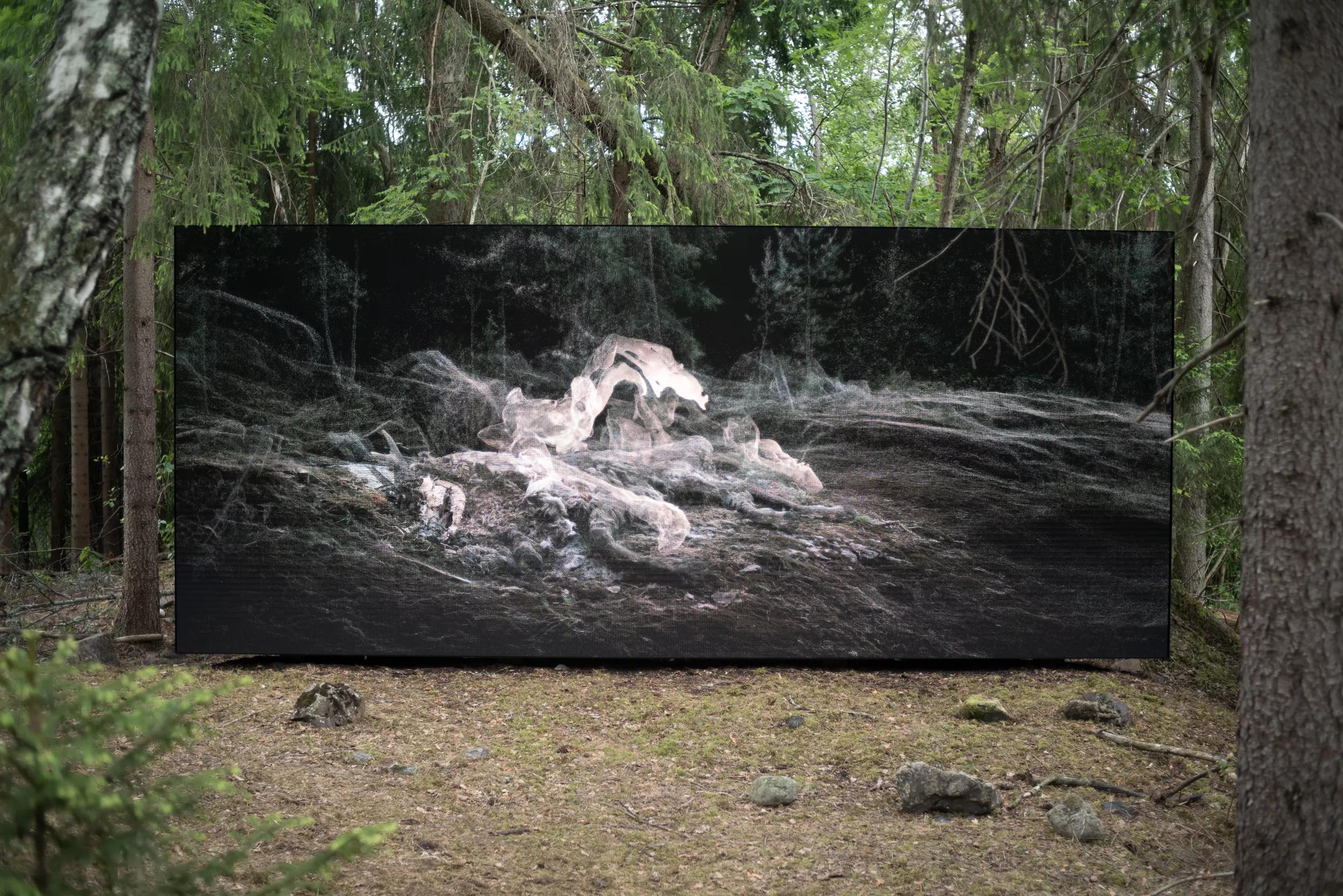 Image for exhibition 