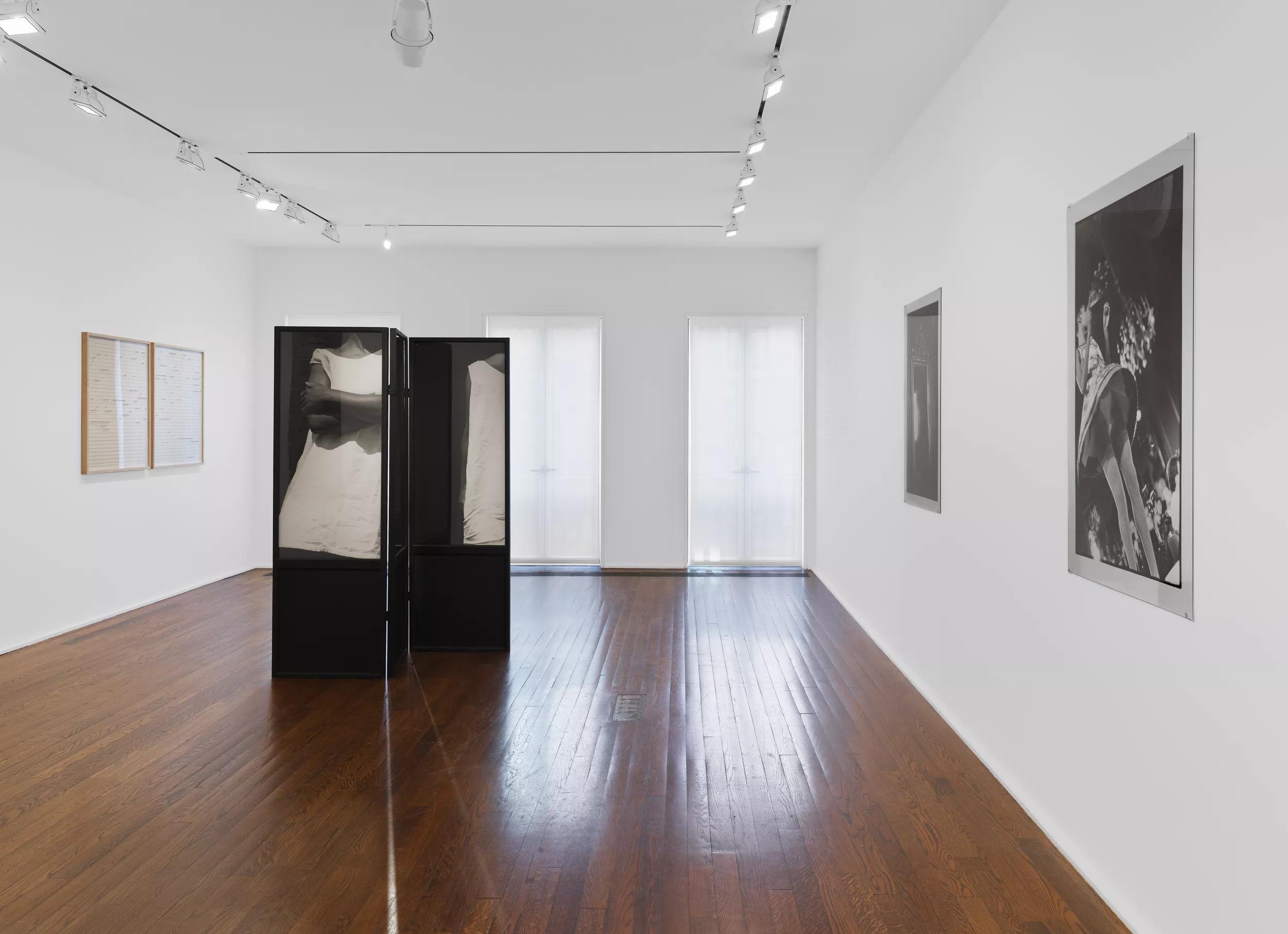 Image for exhibition titled About the exhibition