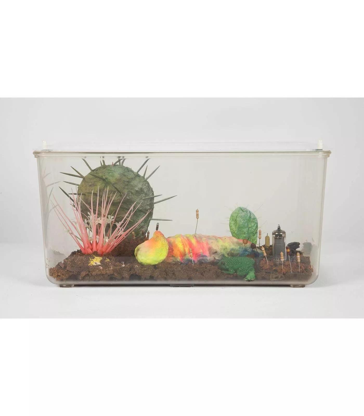 Image for exhibition titled Tetsumi Kudo