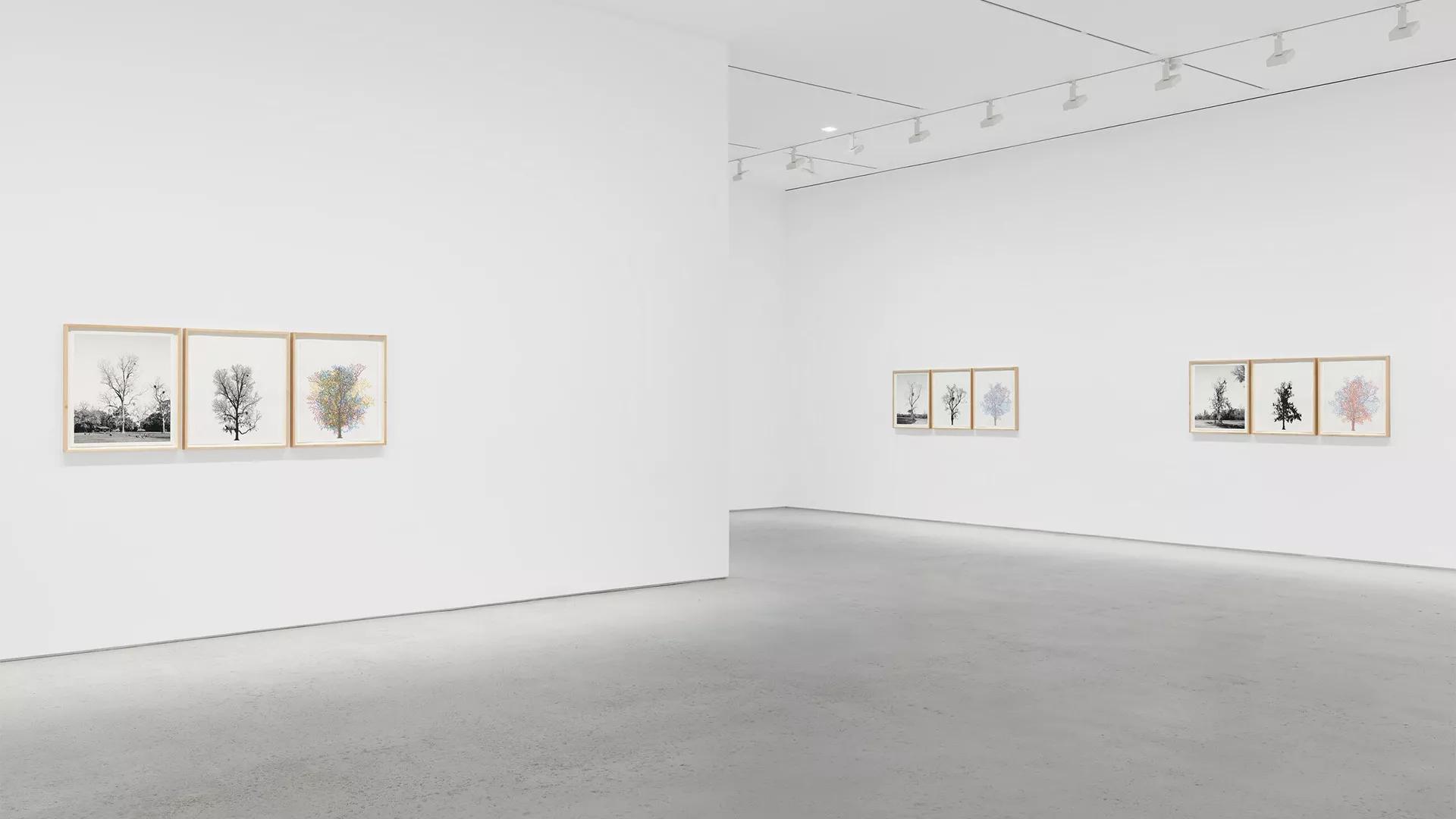 Image for exhibition 