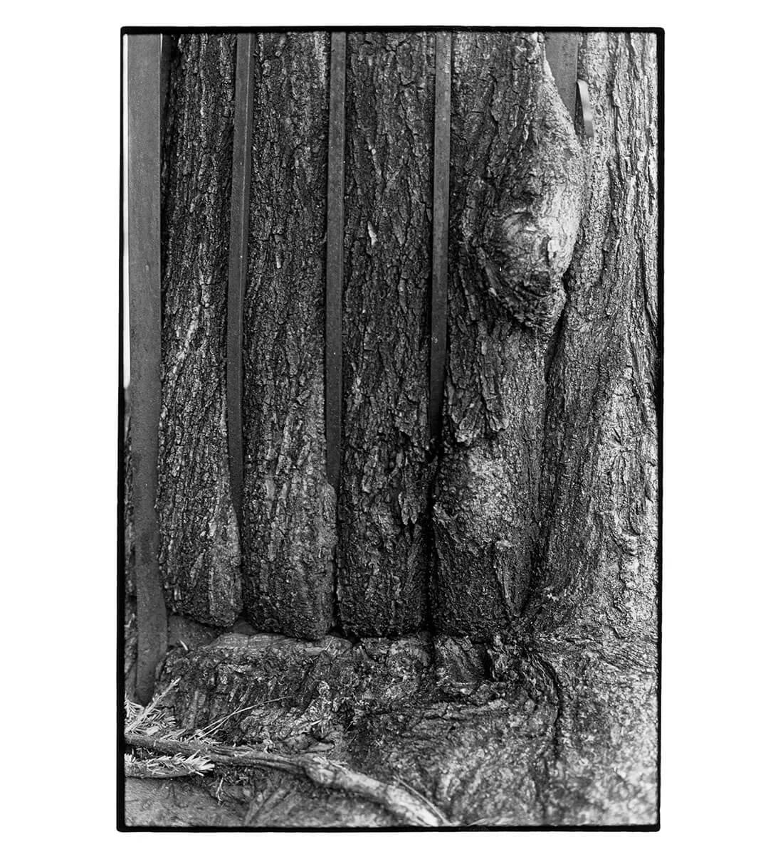 Image for exhibition 
