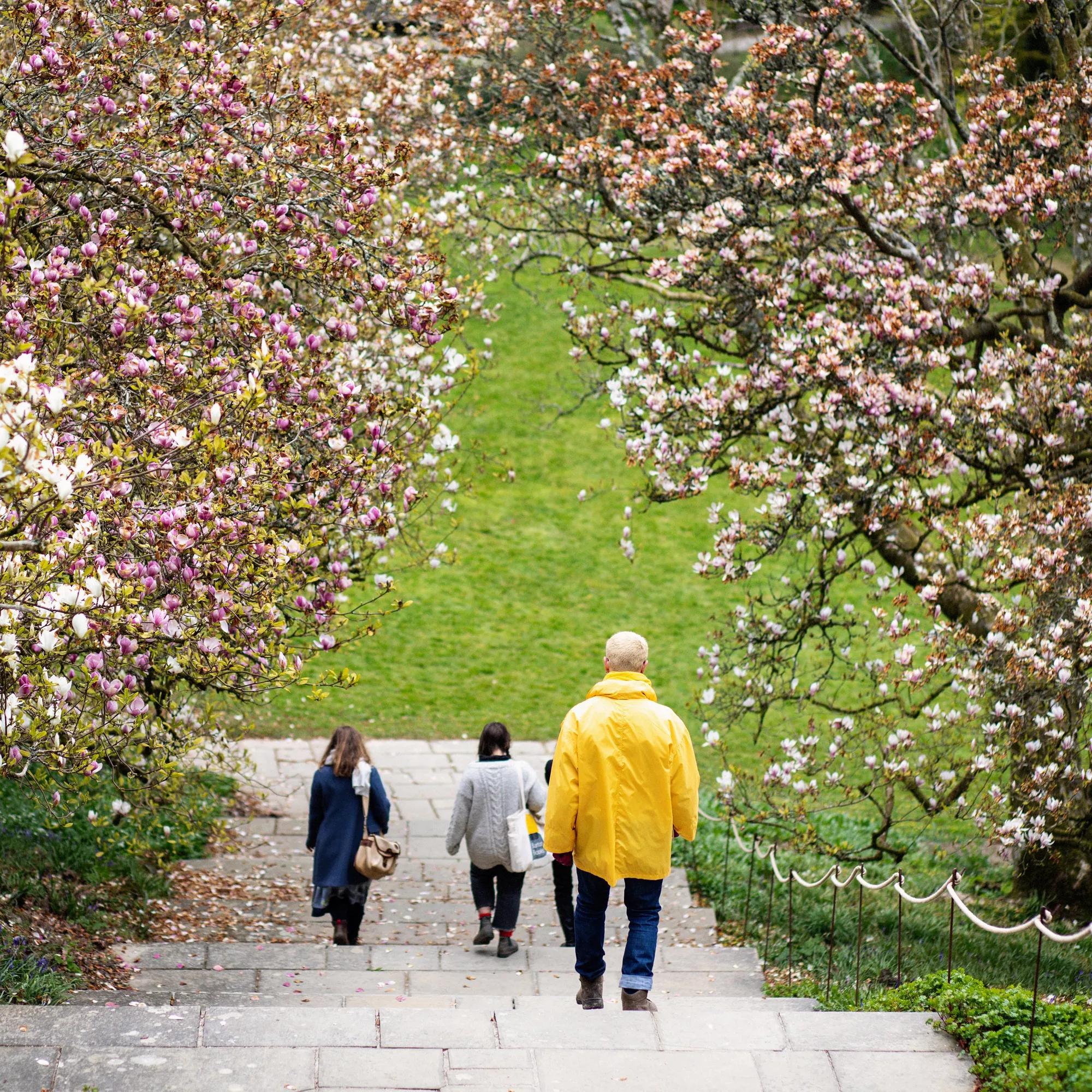 Hero image for event titled Open Weekend: ‘Remember Nature’ Residency with Dartington Arts School