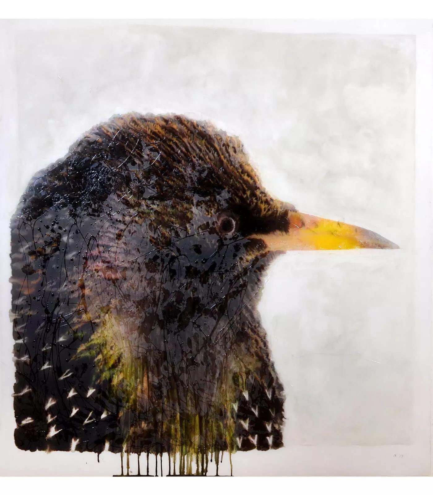 Image for exhibition titled Ida  Applebroog