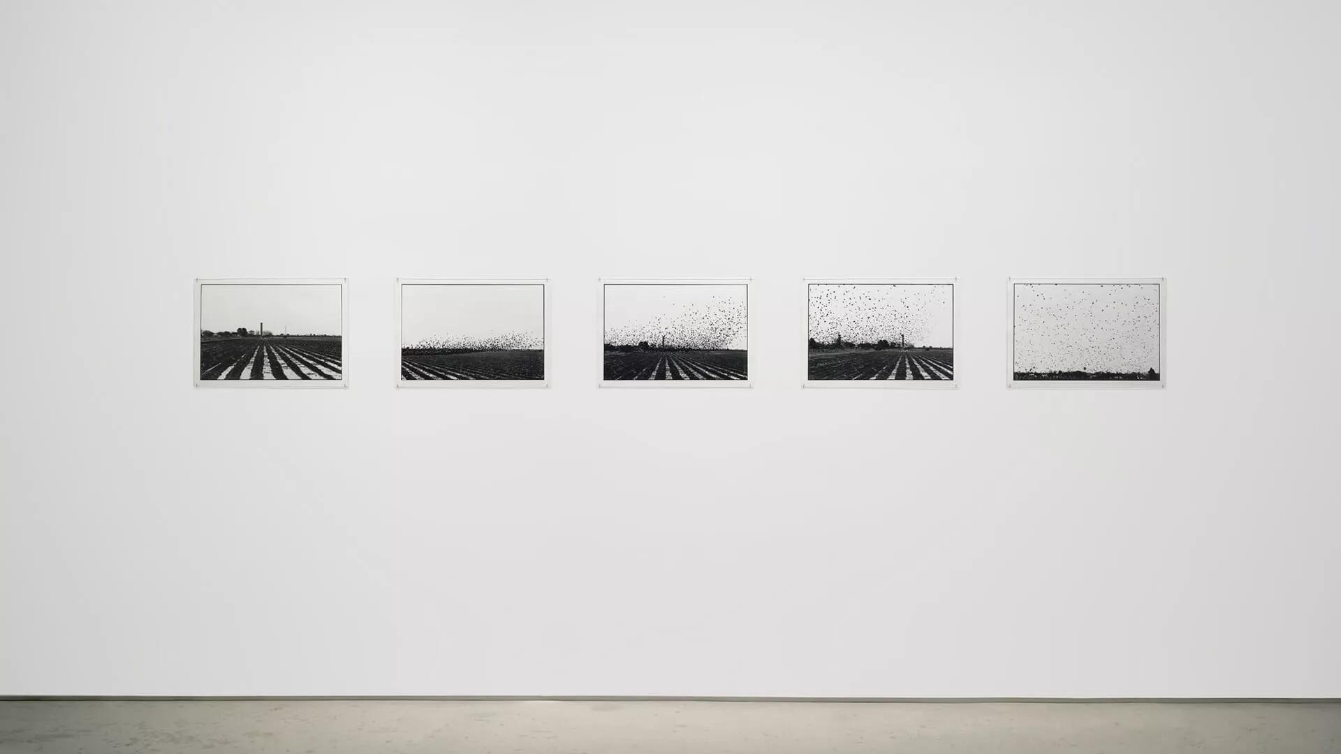 Image for exhibition 