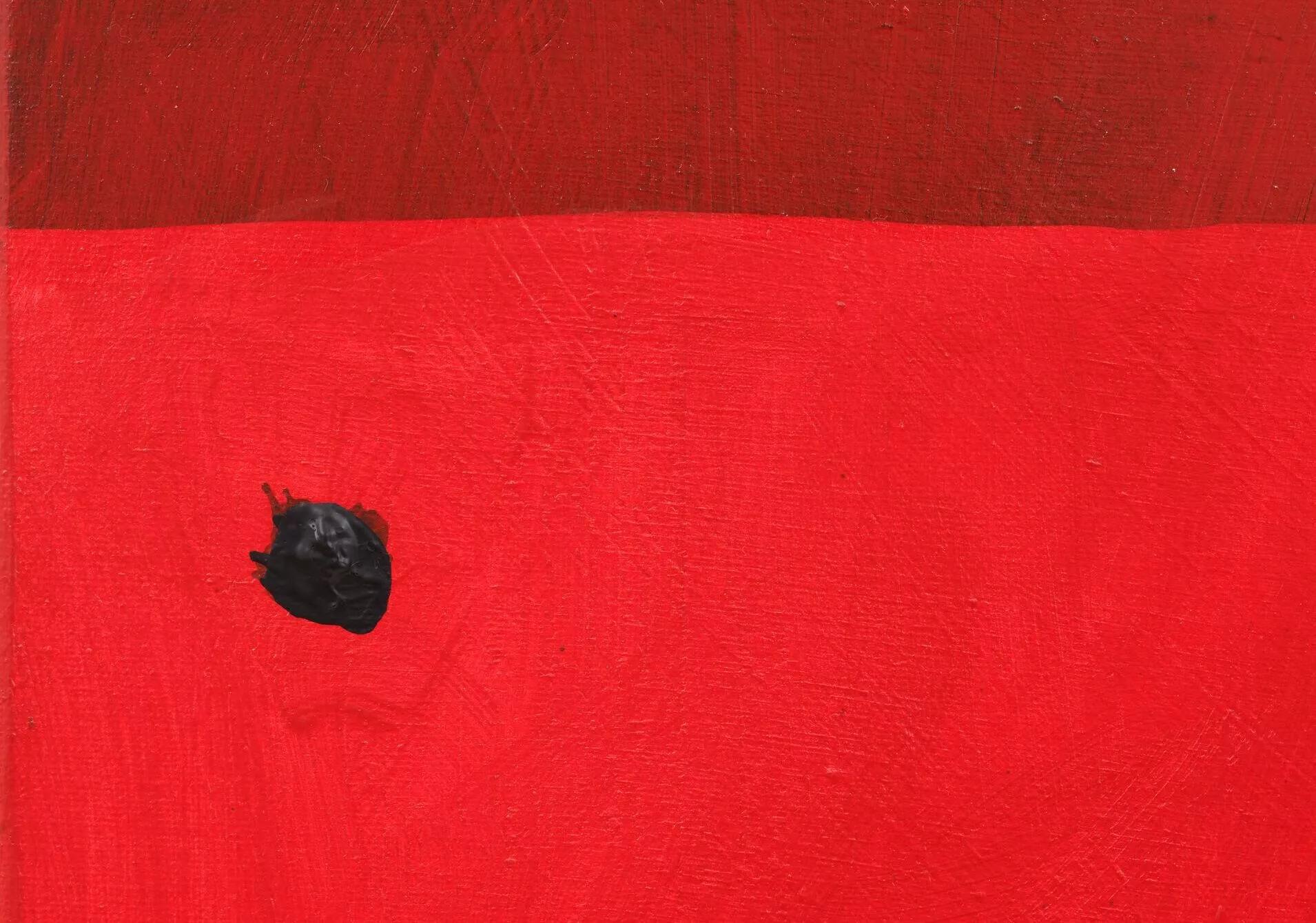 Image for exhibition 