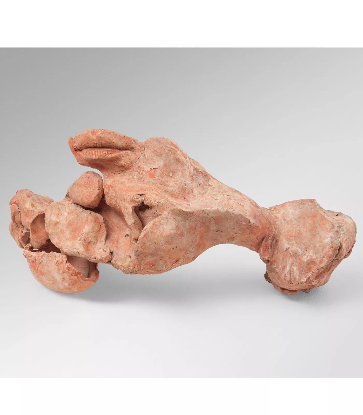 Image for exhibition titled Alina Szapocznikow