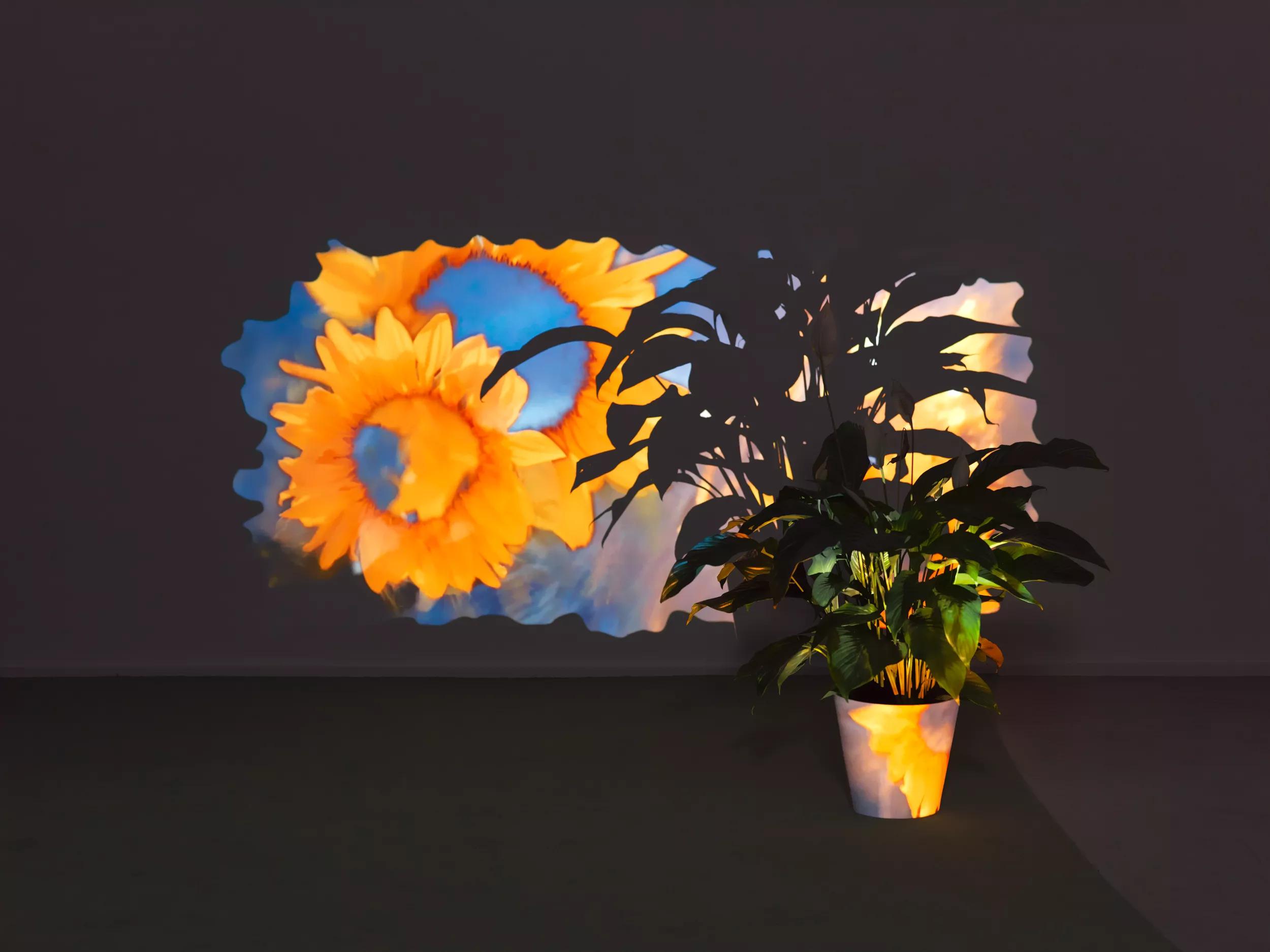 Image for Pipilotti Rist