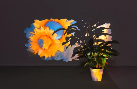 Thumbnail image for exhibition titled Pipilotti Rist