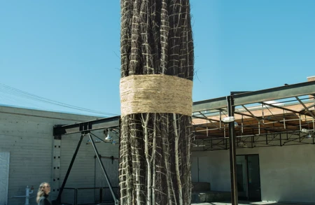 Image for news titled Artist Talk with Jackie Winsor: ‘Revolution in the Making’