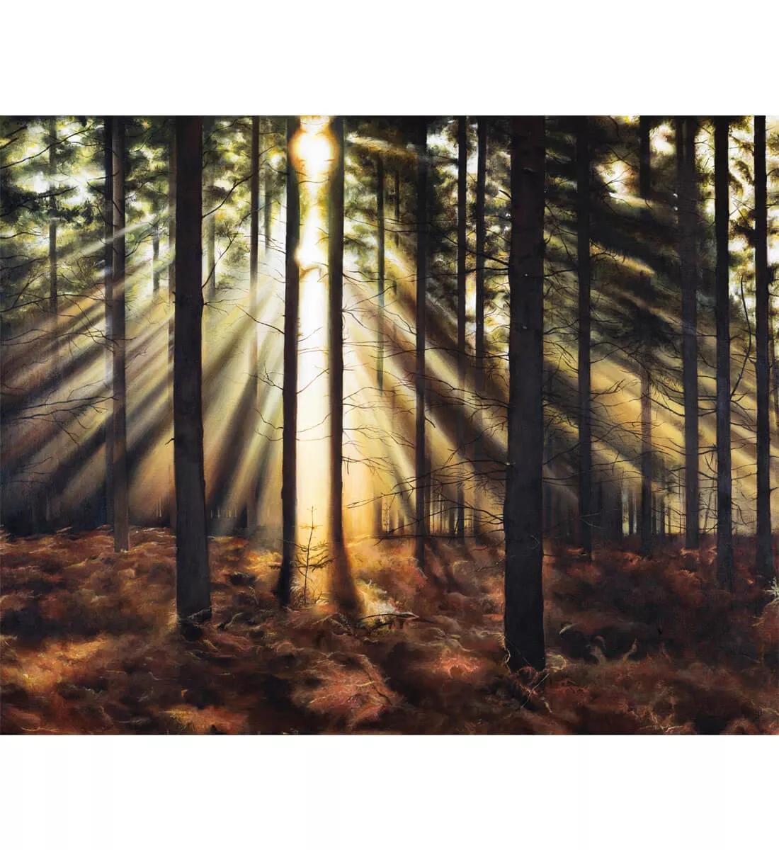Image for exhibition 