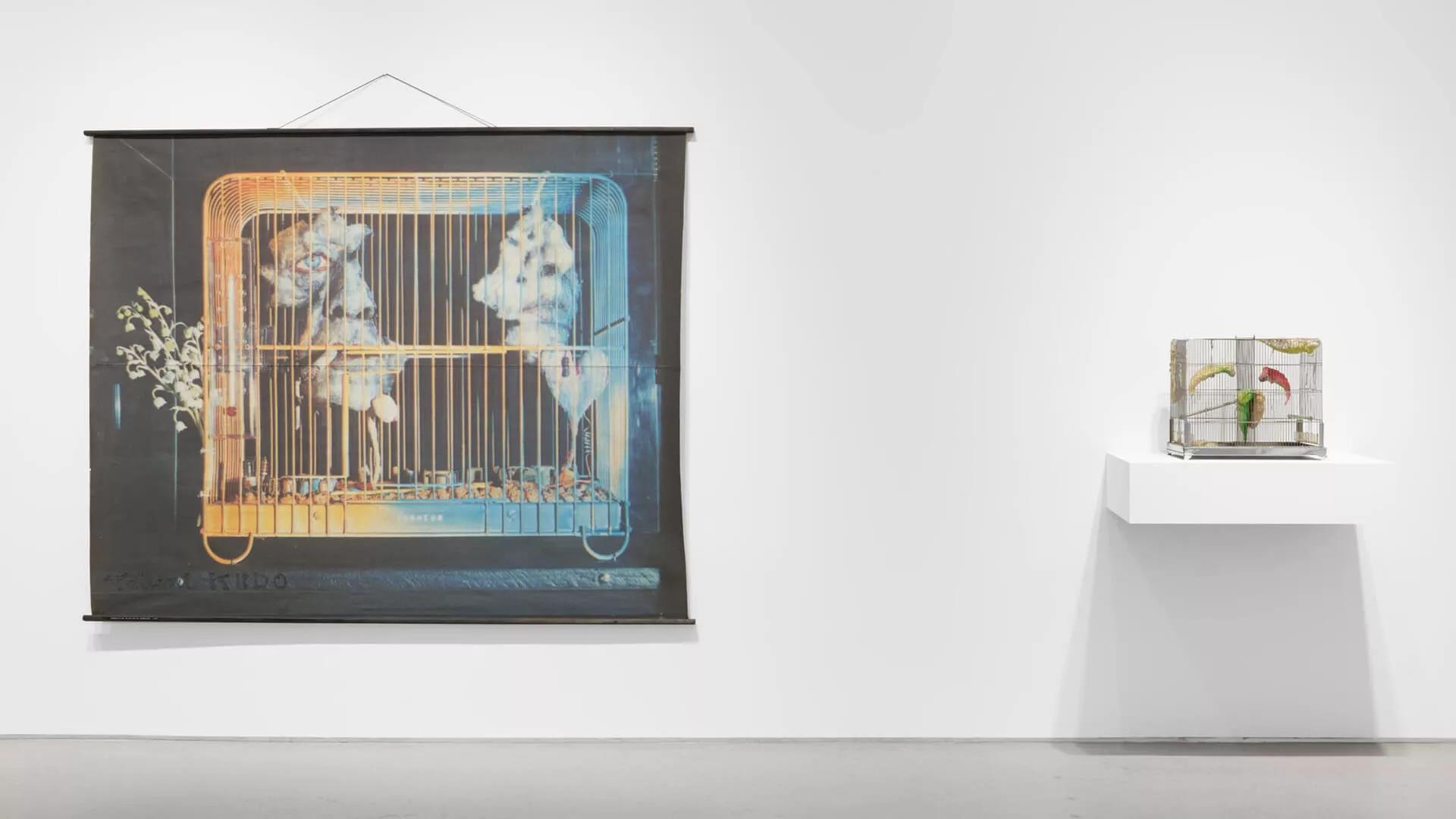 Image for exhibition 