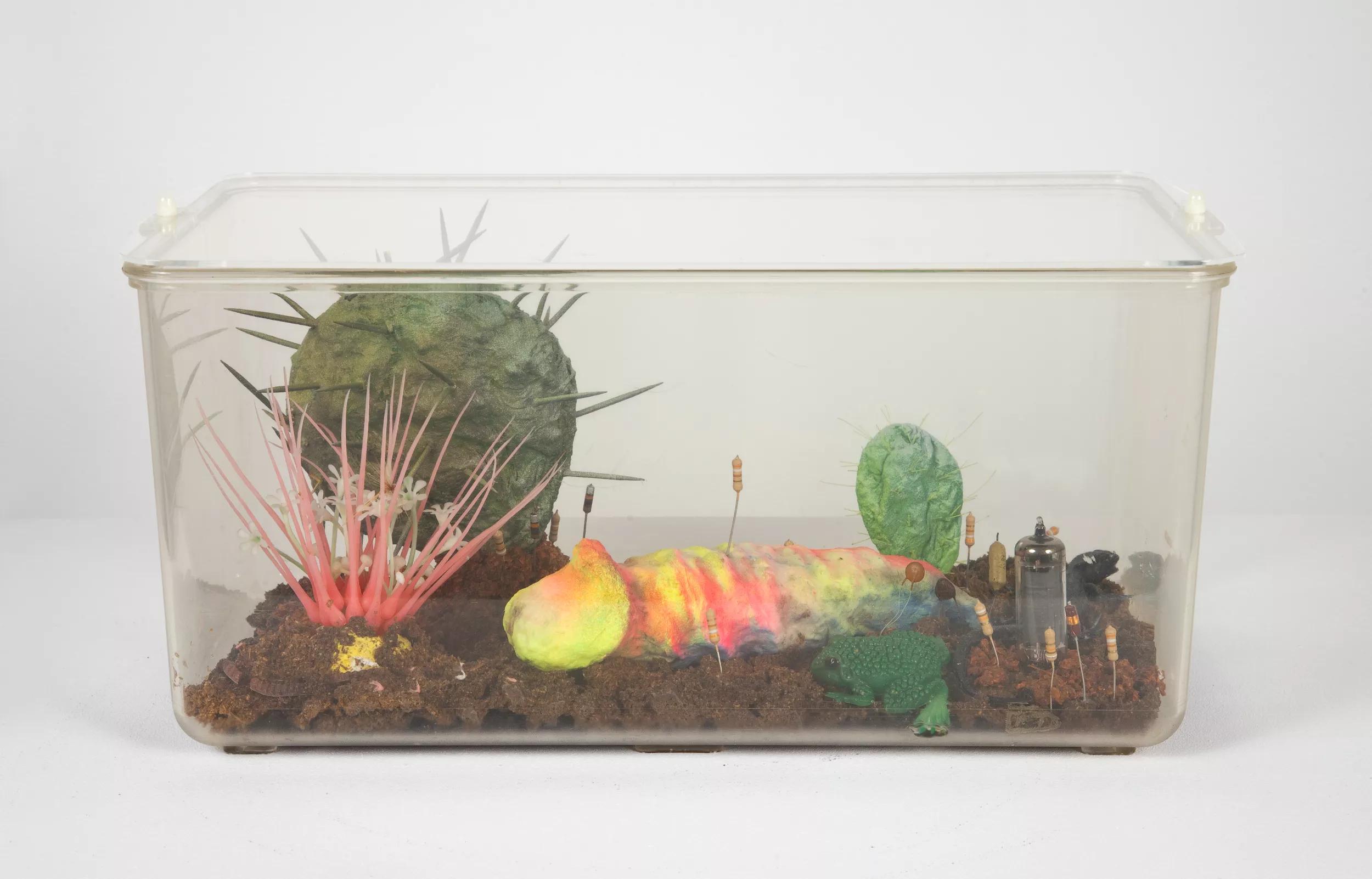 Image for exhibition 