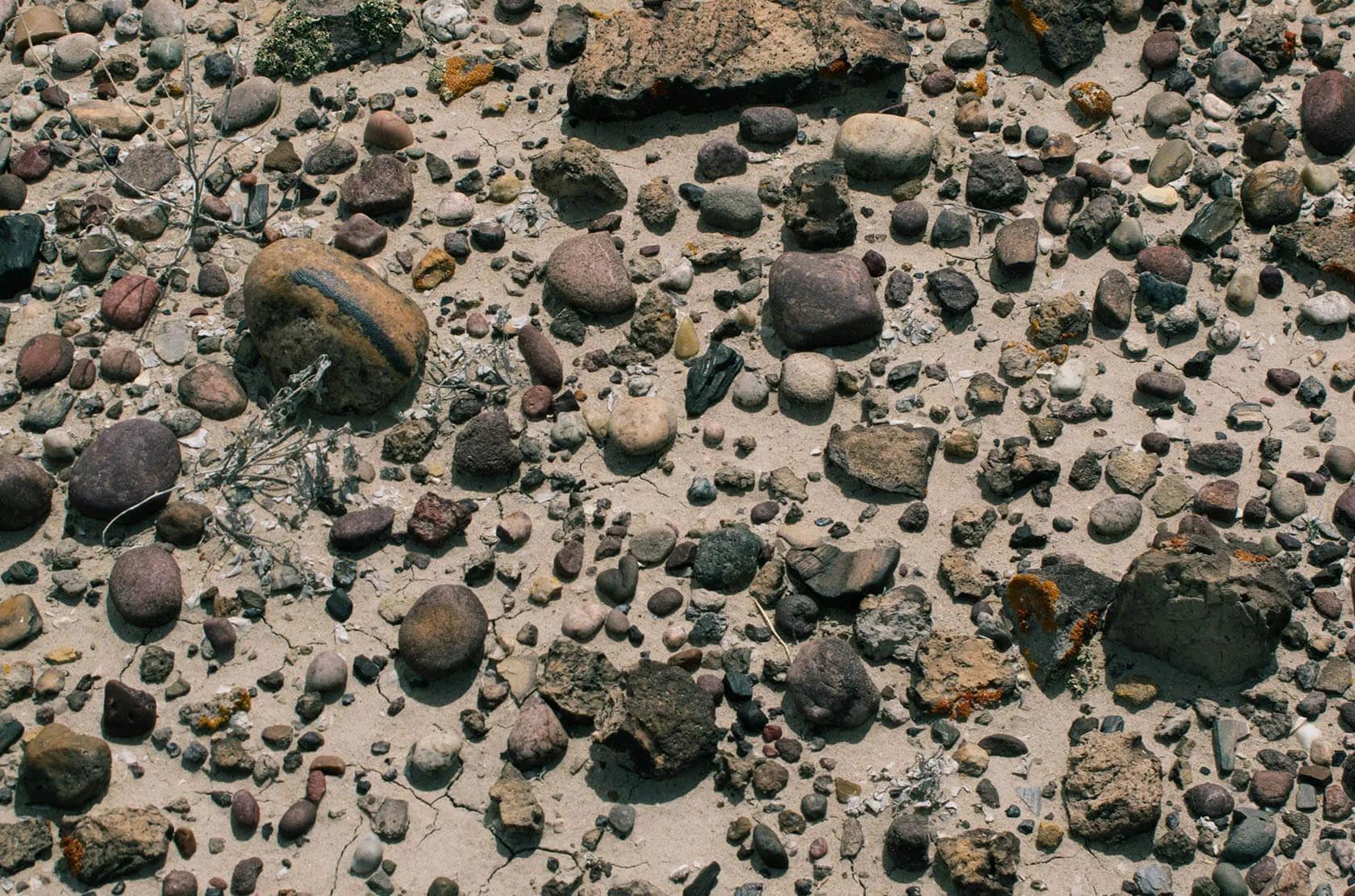 Image for exhibition titled ‘They feel like the mortar—sort of segues—between all of my pictures.’<br>—Annie Leibovitz