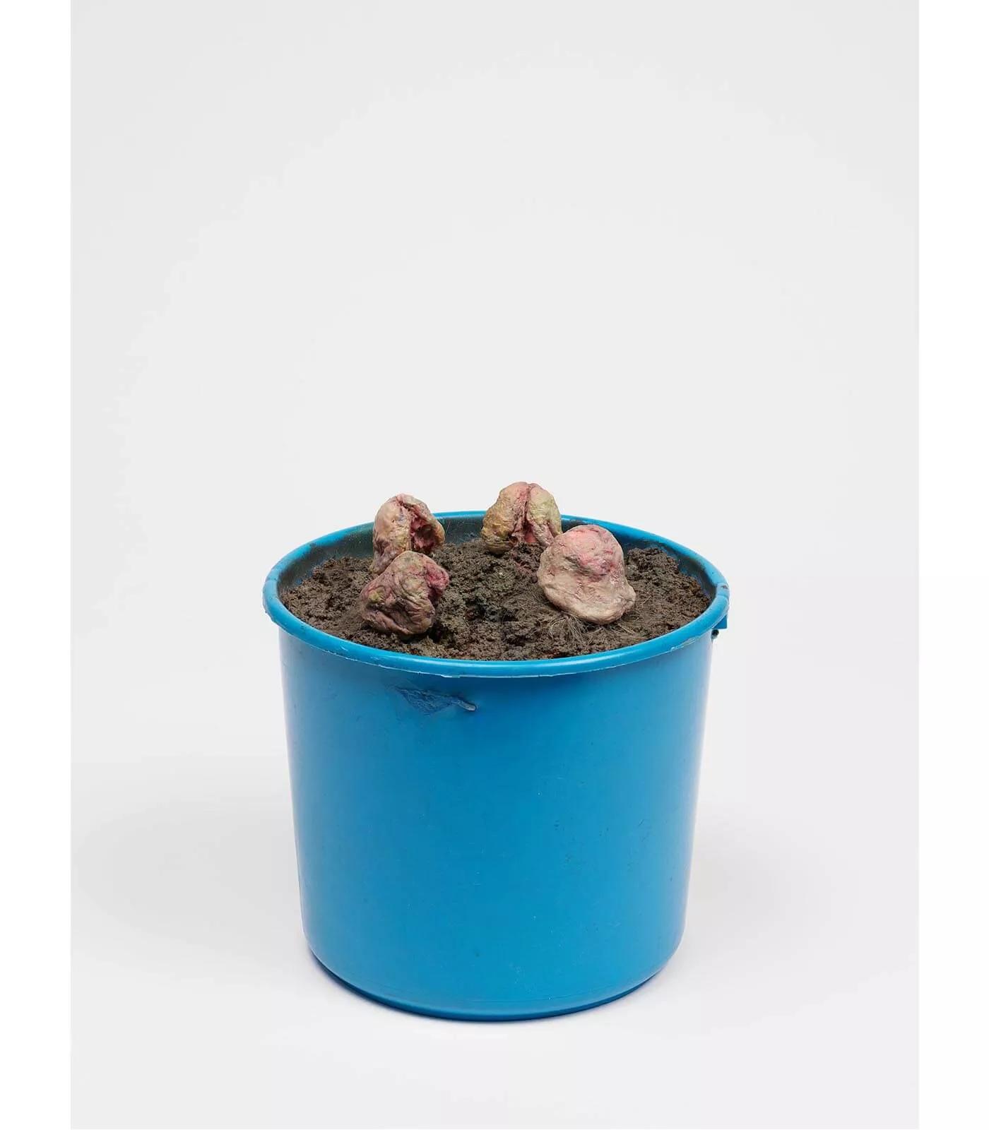 Image for exhibition titled Tetsumi Kudo
