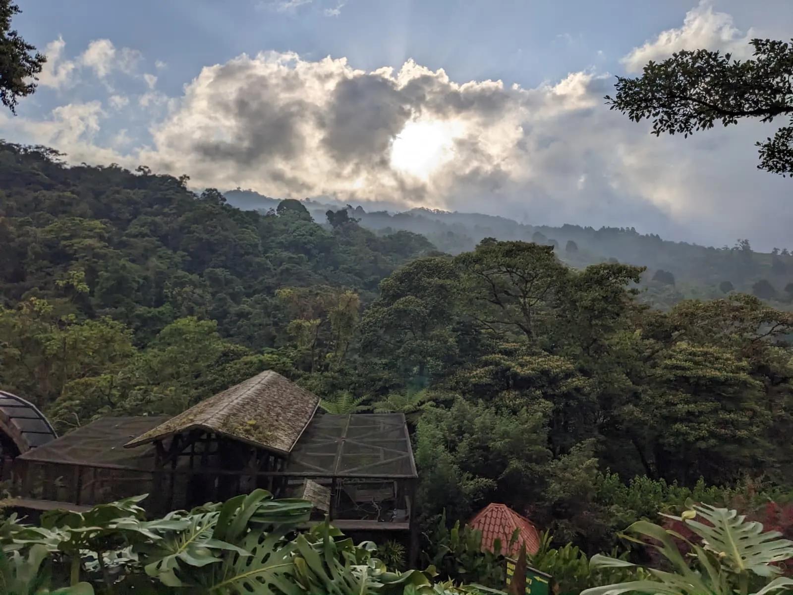 Image for left hero section