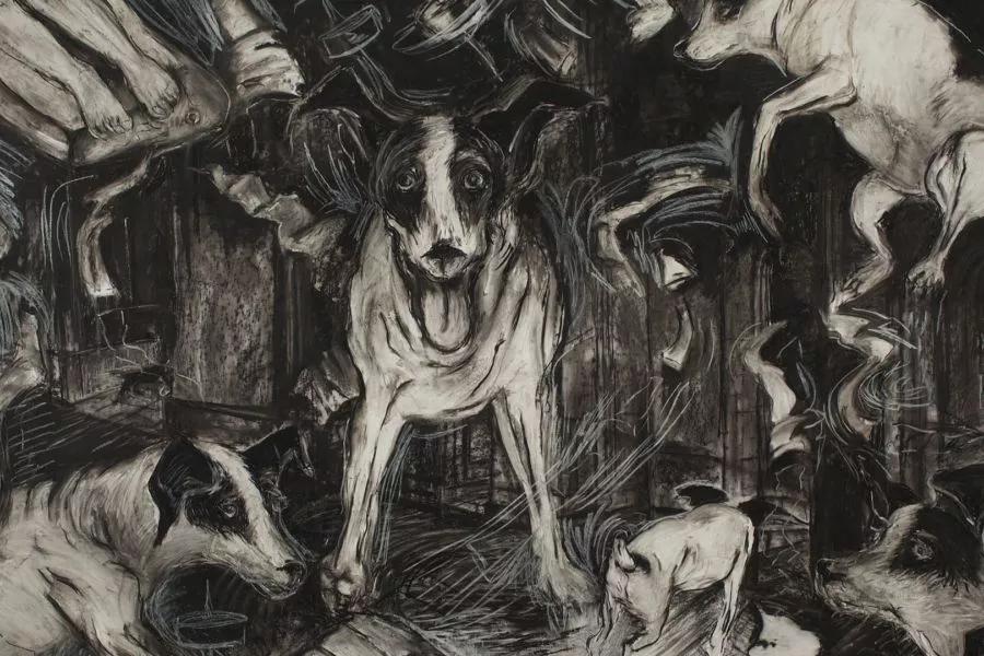 Hero image for event titled CinemArt Screening: Heart of a Dog