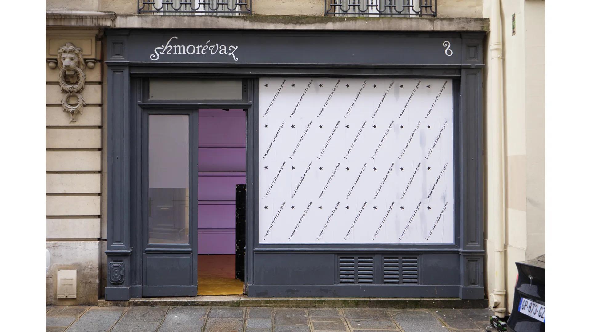 Image for exhibition titled À propos de Shmorévaz