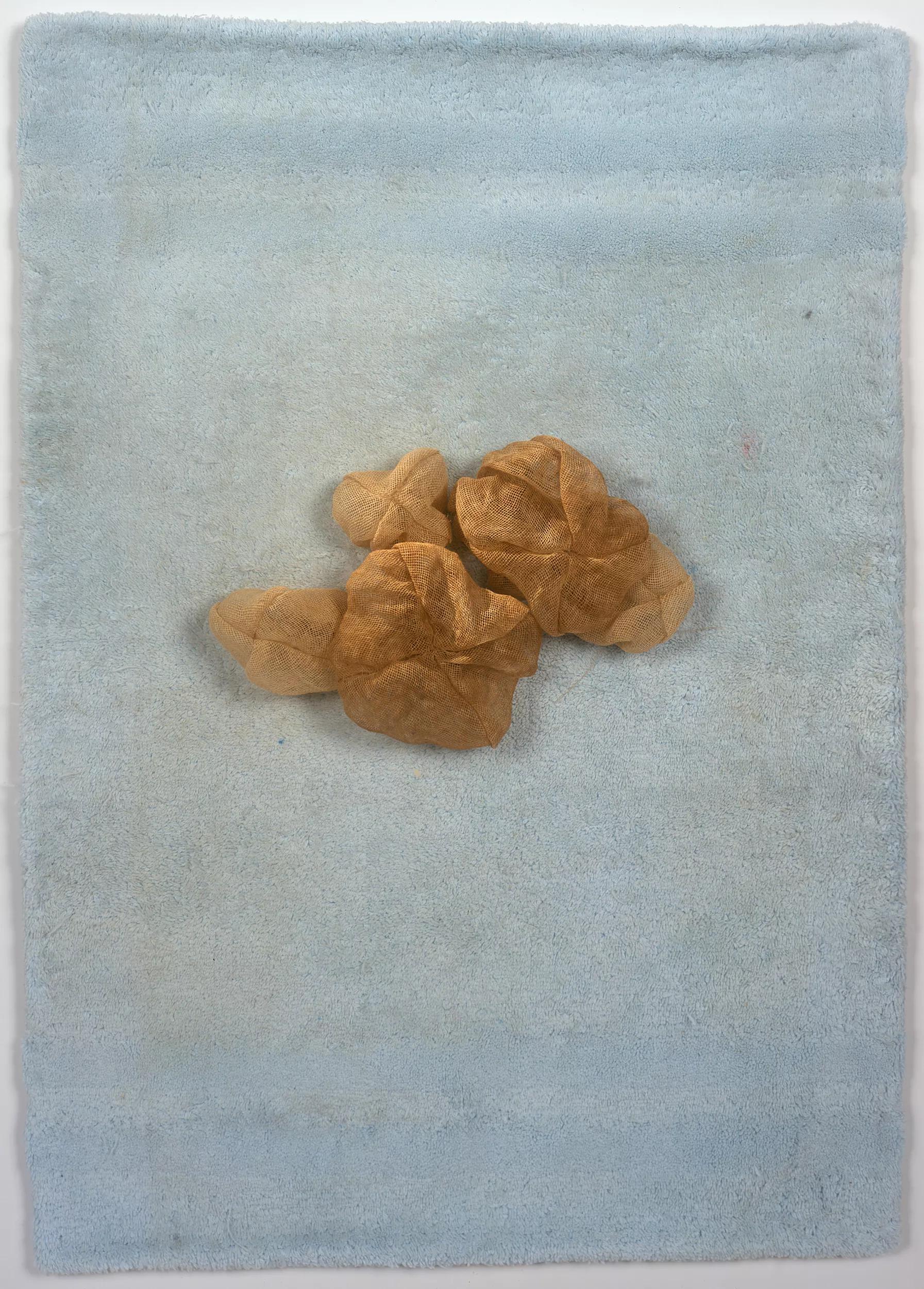 Image for exhibition 