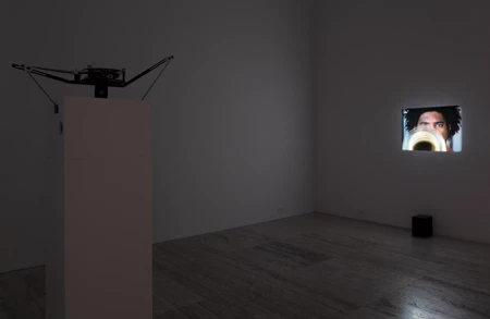 Thumbnail image for exhibition titled David Zink Yi