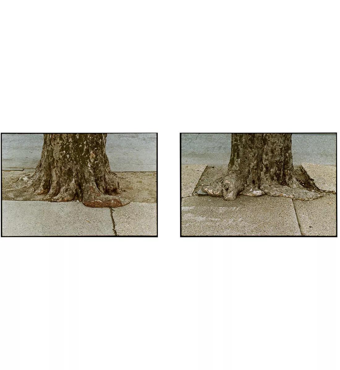 Image for exhibition 