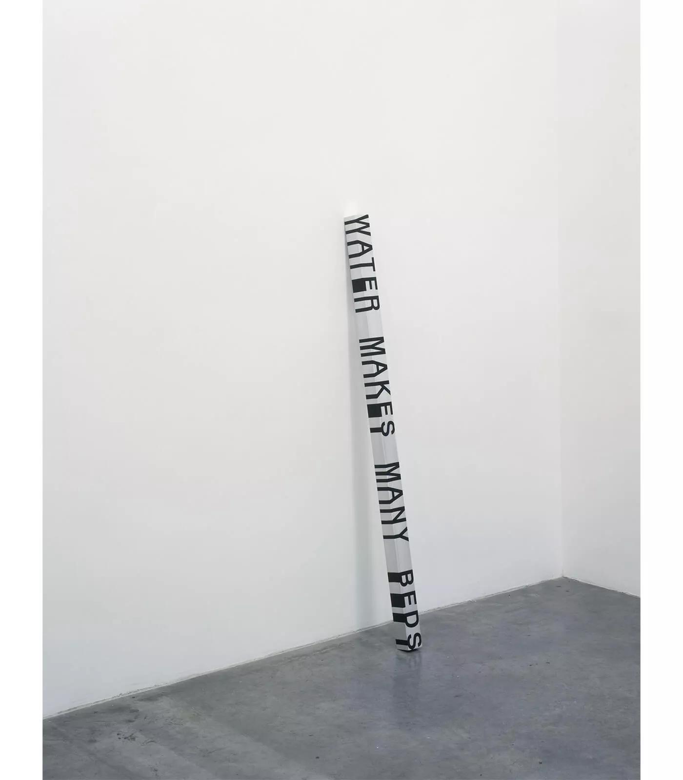 Image for exhibition titled Roni Horn