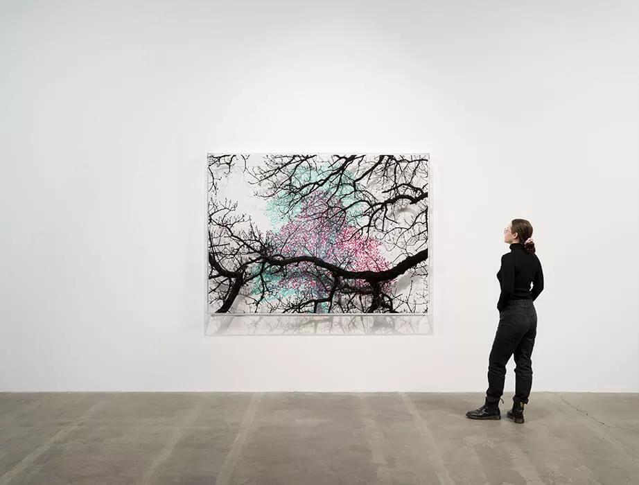 Thumbnail image for exhibition titled Numbers and Trees: London Series 2, Tree #2, Compter Passage
