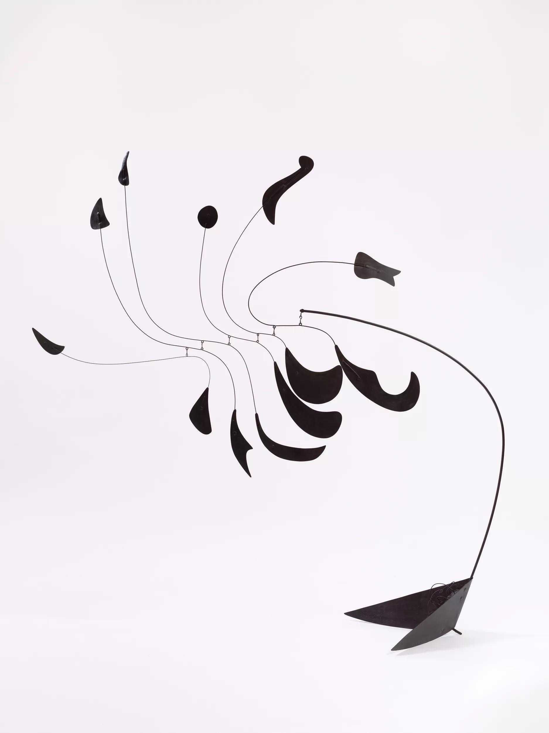 Image for Calder