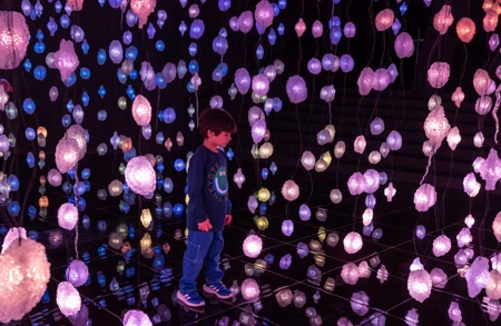 Thumbnail image for exhibition titled Pipilotti Rist<br>YOUR BRAIN TO ME, MY BRAIN TO YOU