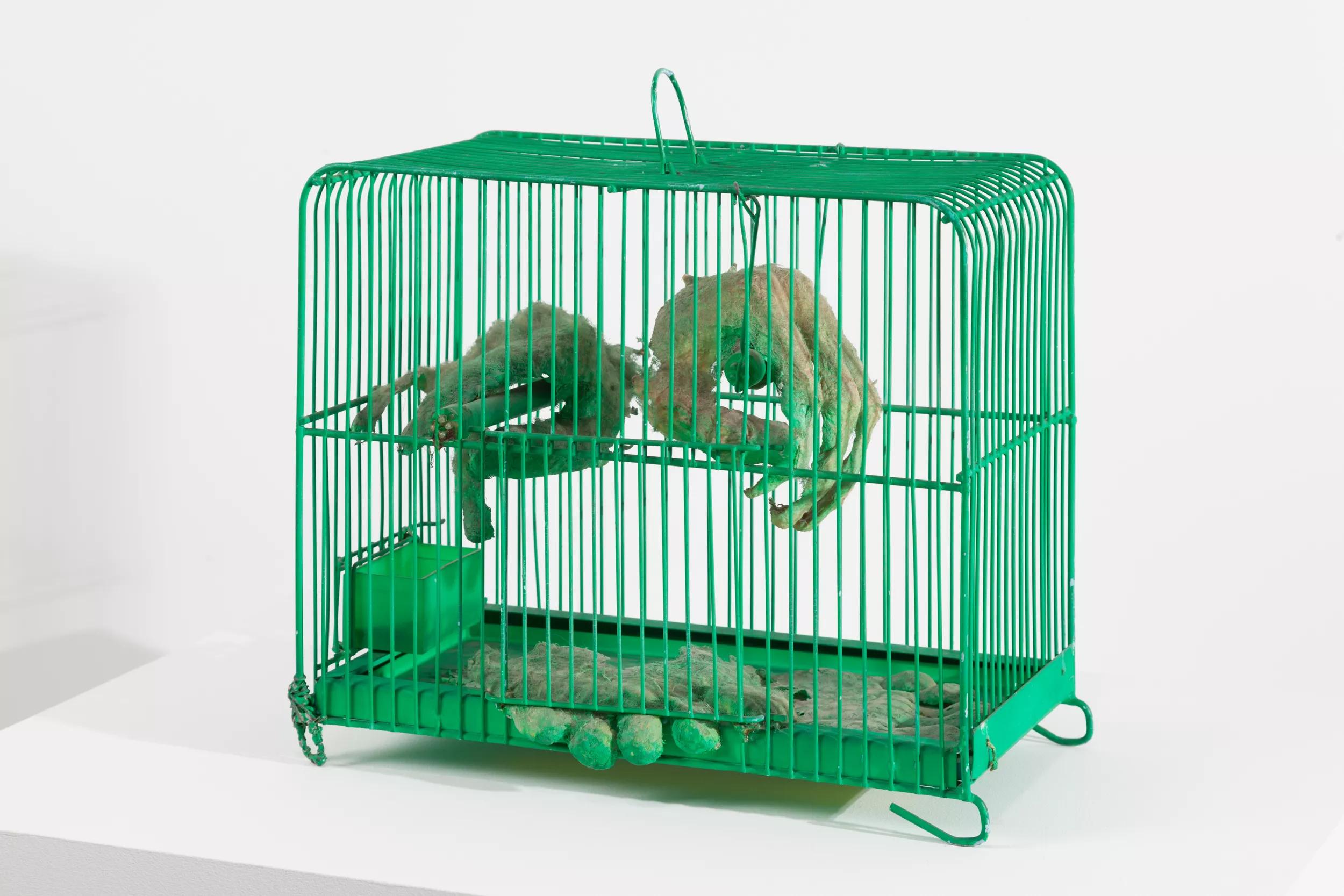 Image for exhibition 
