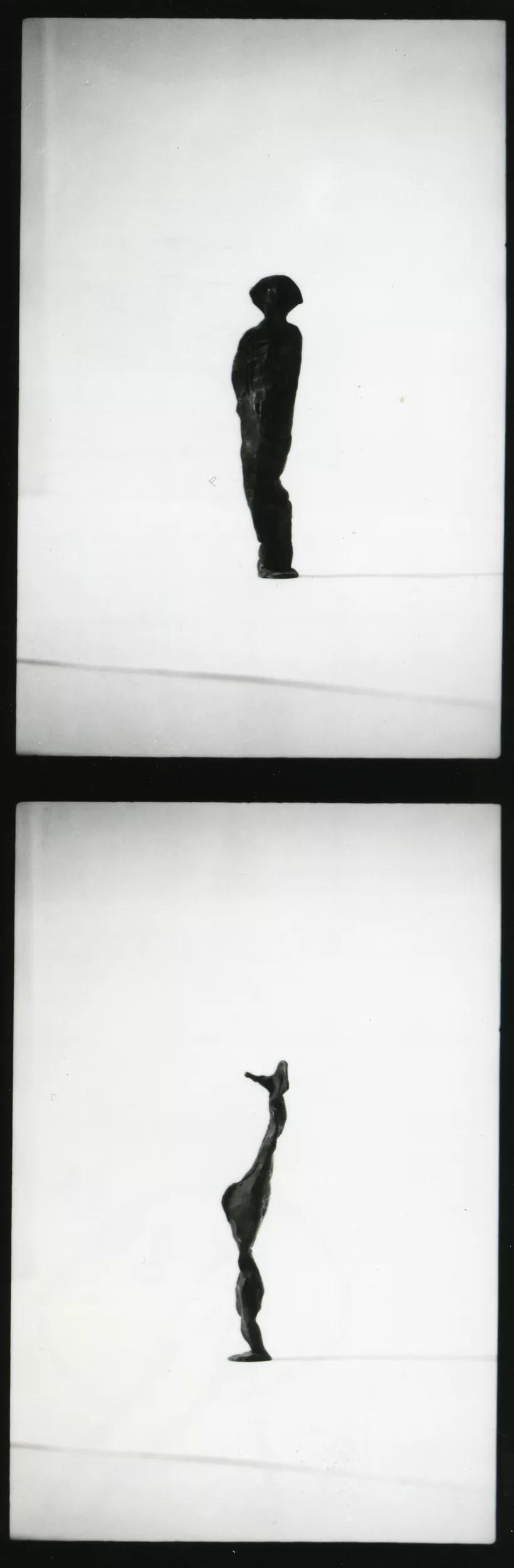 Image for exhibition titled Alina Szapocznikow