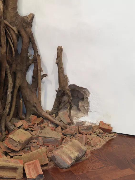Image for exhibition 