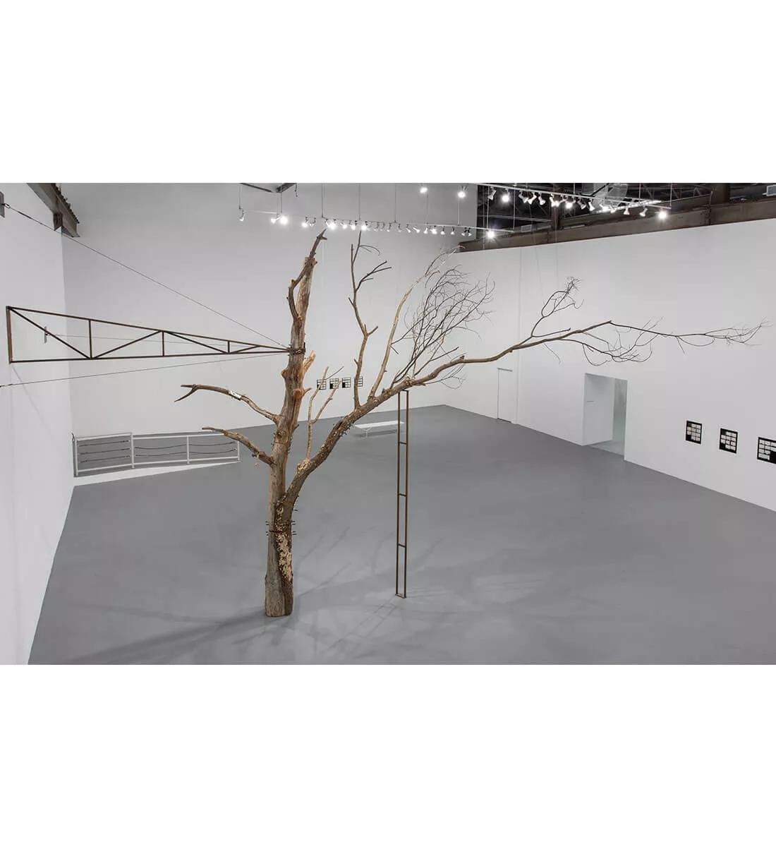 Image for exhibition 