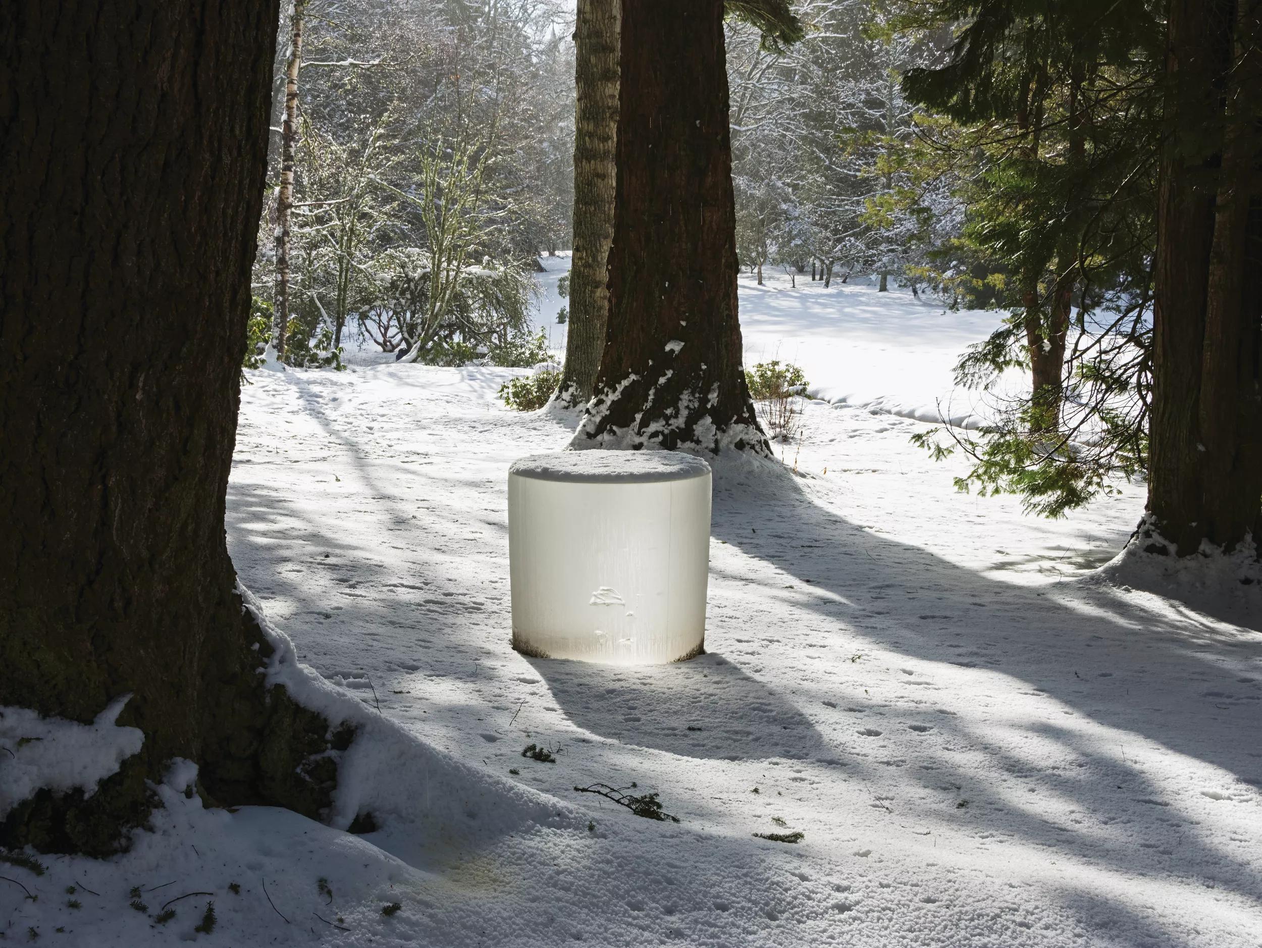 Hero image Ursula Hero titled Plein Air: A Look at New Work by Roni Horn