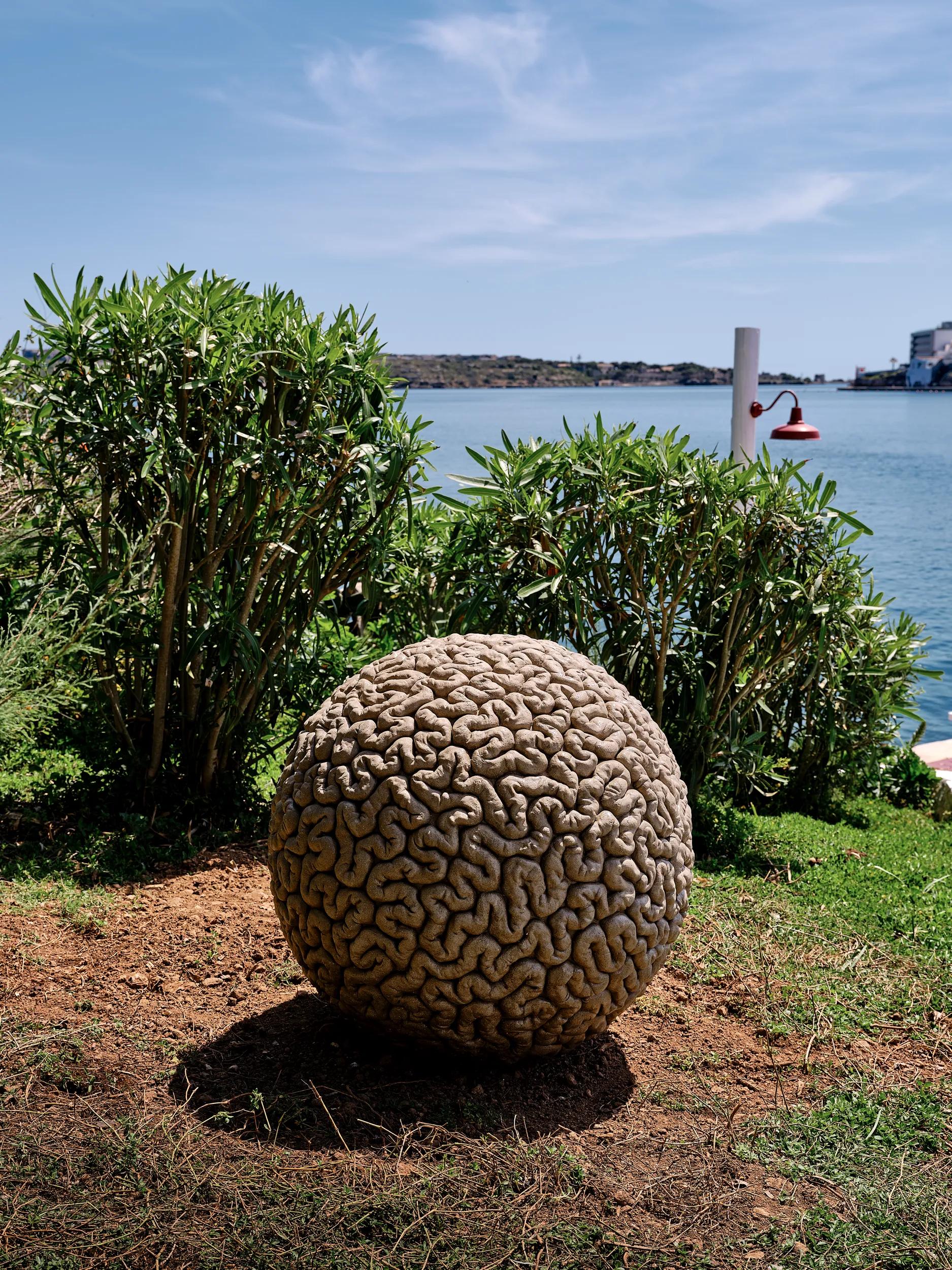 Image for left hero section