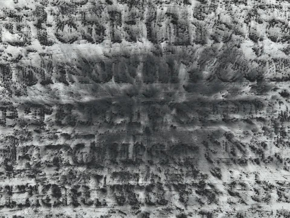 Thumbnail image for Exhibition titled Glenn Ligon