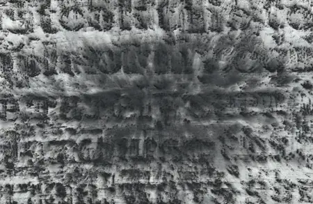 Thumbnail image for exhibition titled Glenn Ligon<br>Break It Down