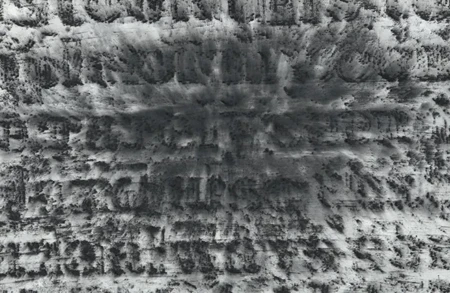 Thumbnail image for exhibition titled Glenn Ligon<br>Break It Down