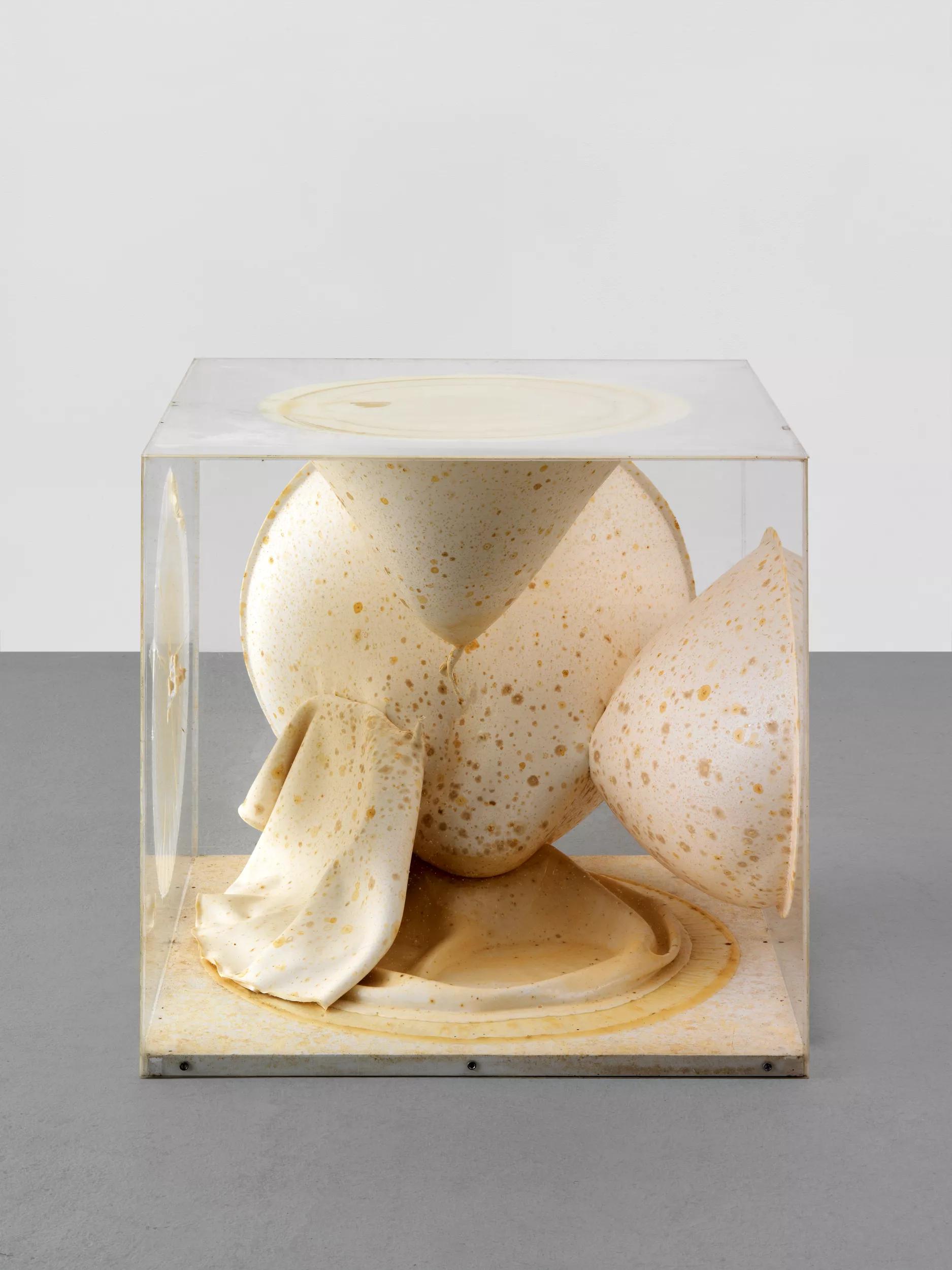 Image for exhibition titled Takesada Matsutani