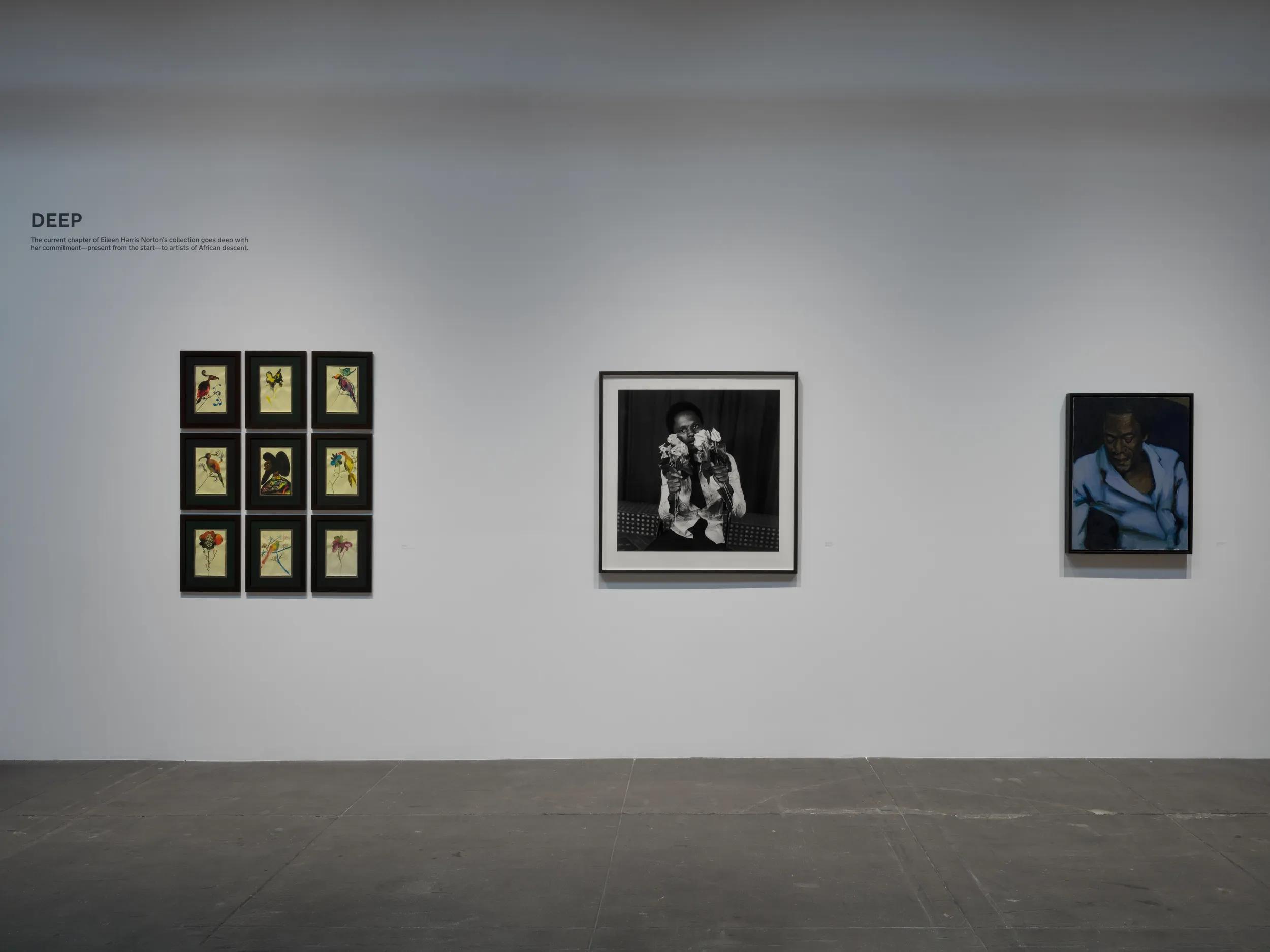 Installation view image for Installation Views