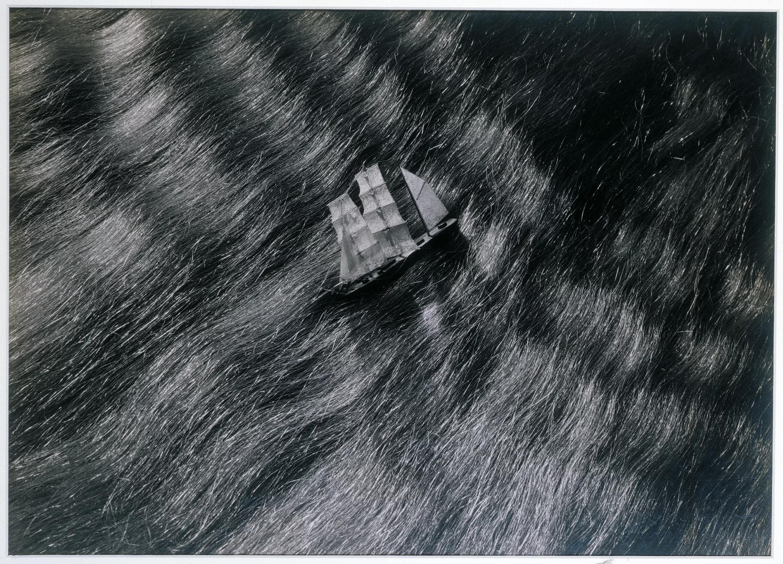 Ursula detail hero for for Photography from the Sylvio Perlstein Collection