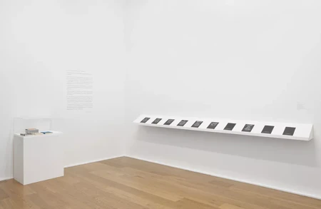 Image for exhibition titled Lee Lozano and Ida Applebroog Book Lab