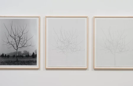 Thumbnail Image for Ursula Article titled A Love Supreme: Charles Gaines and Trees