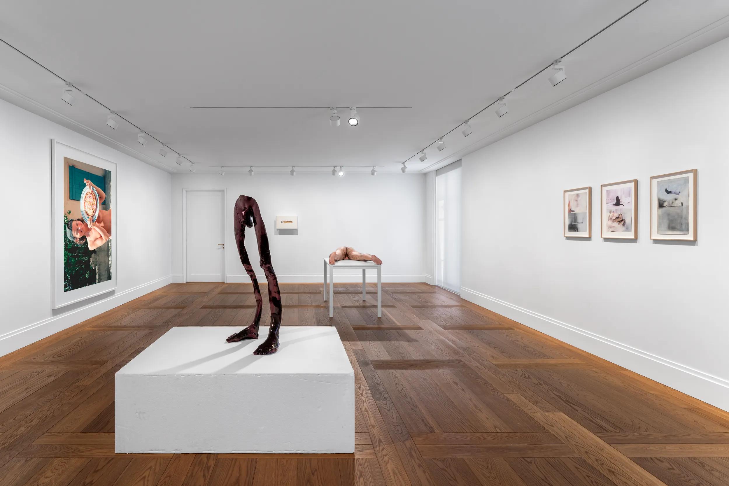 Installation view image 