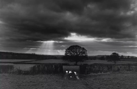 Image for news titled Family Saturday at Home: Don McCullin